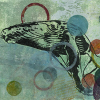 Blue Wale V (verkauft)