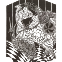 "Schildkröte im Schneckengang"
