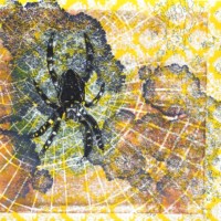 "Spiderweb"