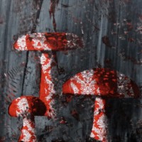 Vintage Fliegenpilze