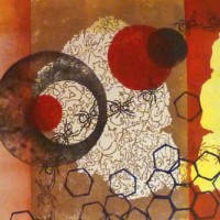 "Ants and the Universe"